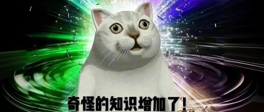 茶言茶语｜看茶渣，1秒就能知道茶叶好坏？