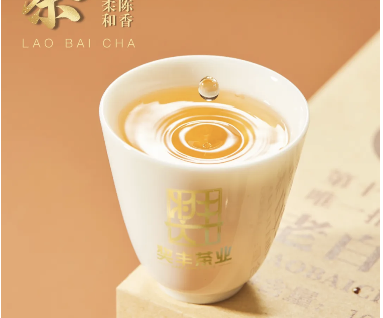 第十九届京港北京茶博会唯一指定礼品茶——宁德市奖丰农业发展有限公司(11号馆T-M2)