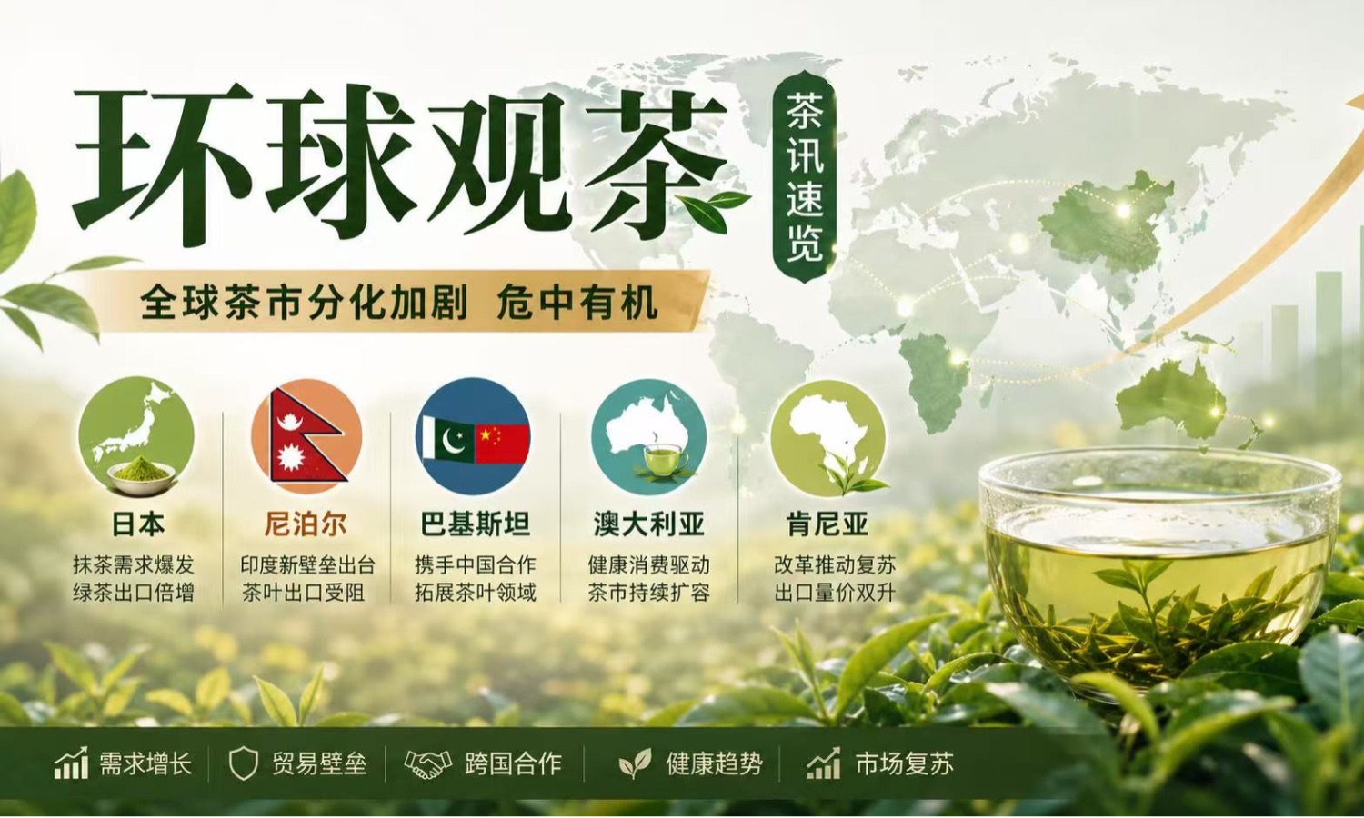 环球观茶｜抹茶热潮席卷全球 茶业出口格局迎来重大调整