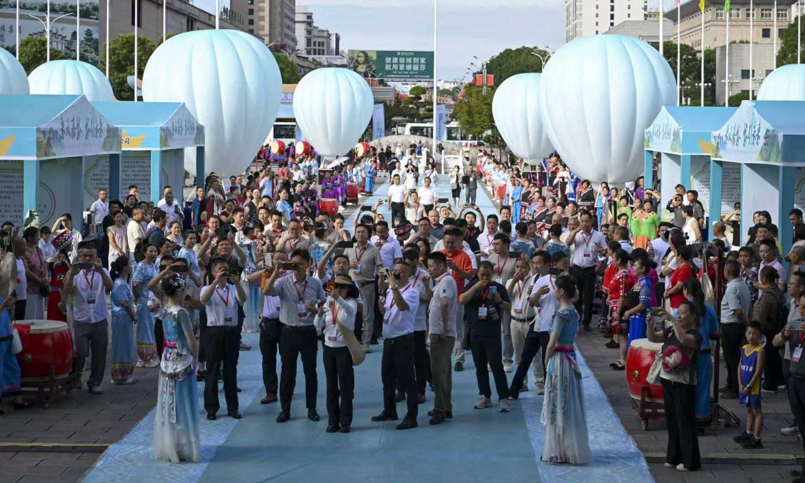 第四届来凤国际藤茶大会启幕