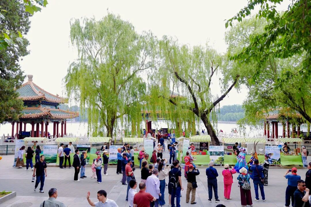 活动现场