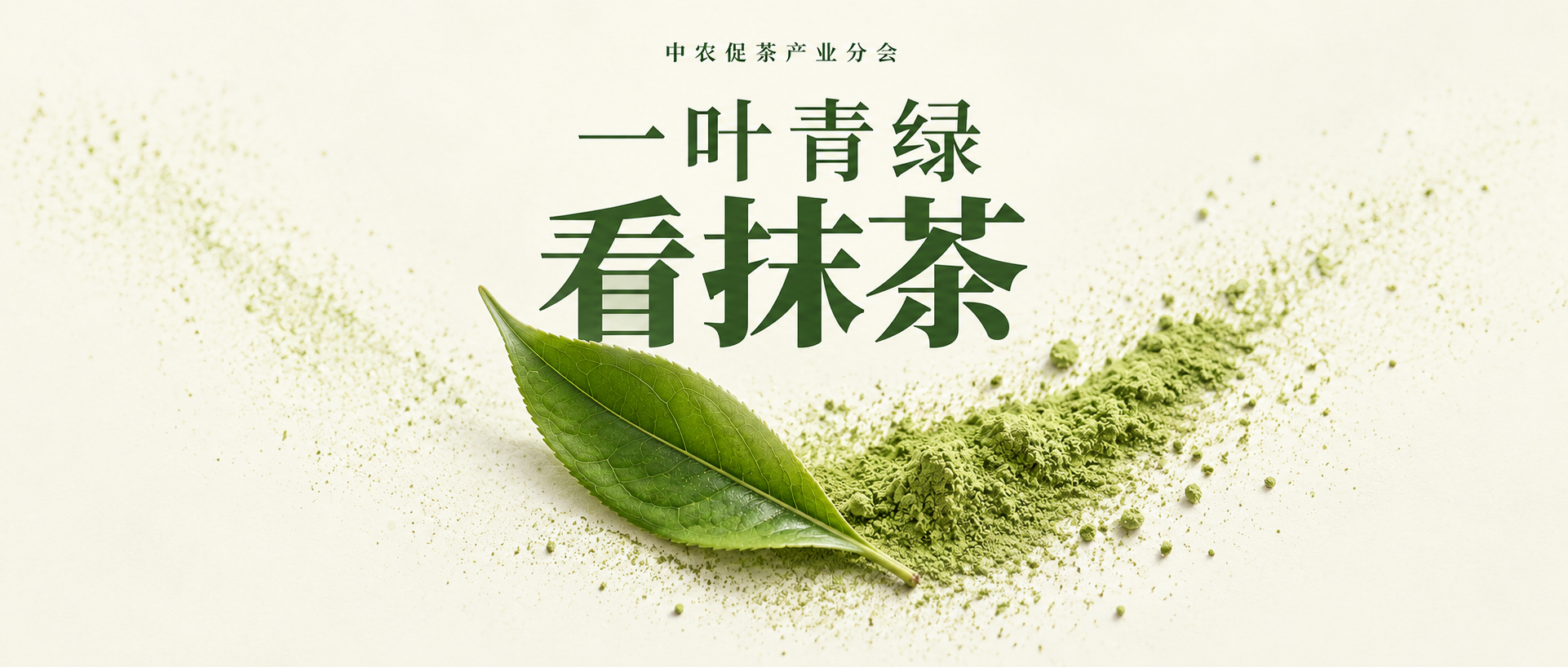 农村工作通讯：一叶青绿看抹茶