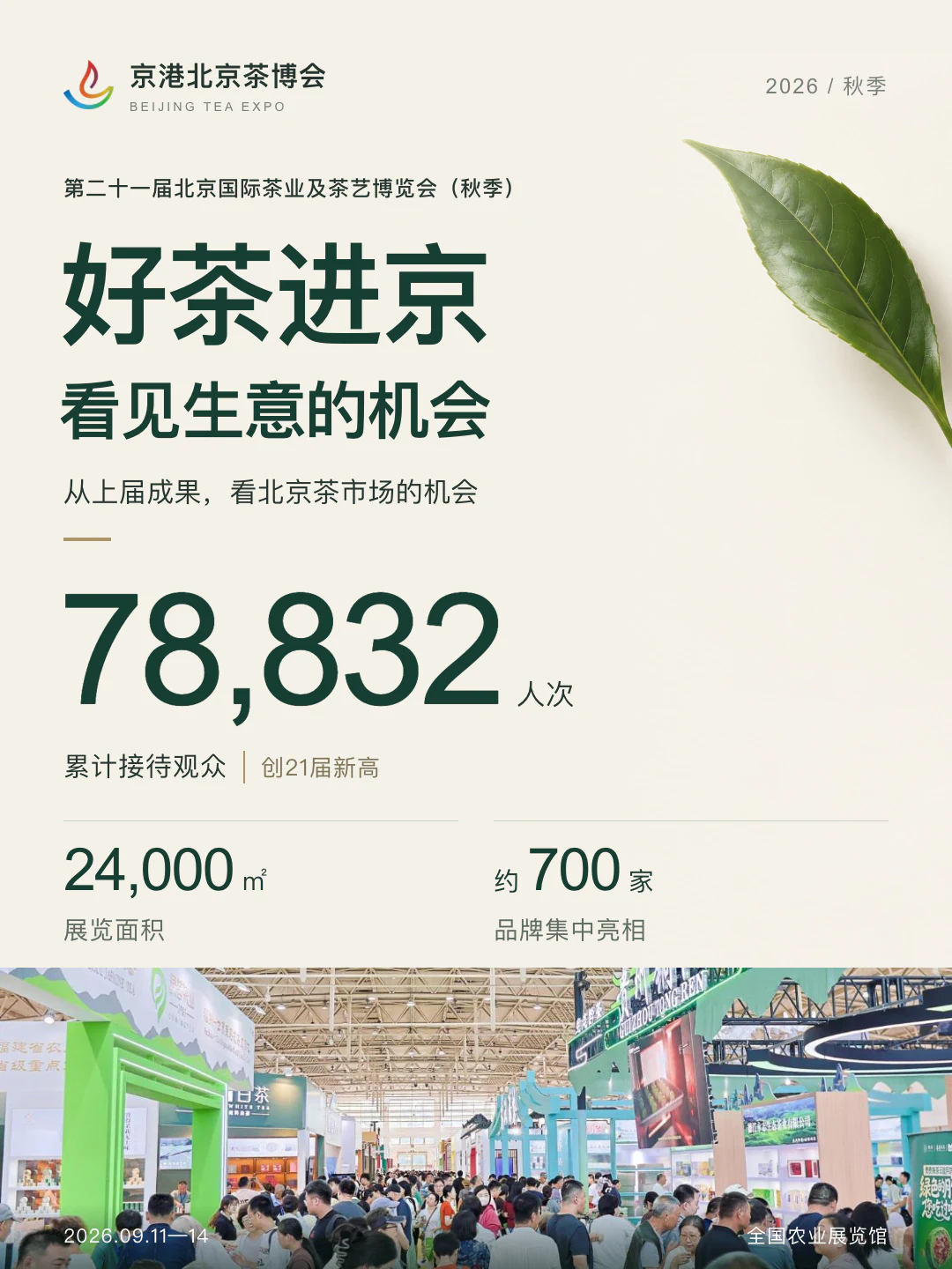 2026 秋季茶博会